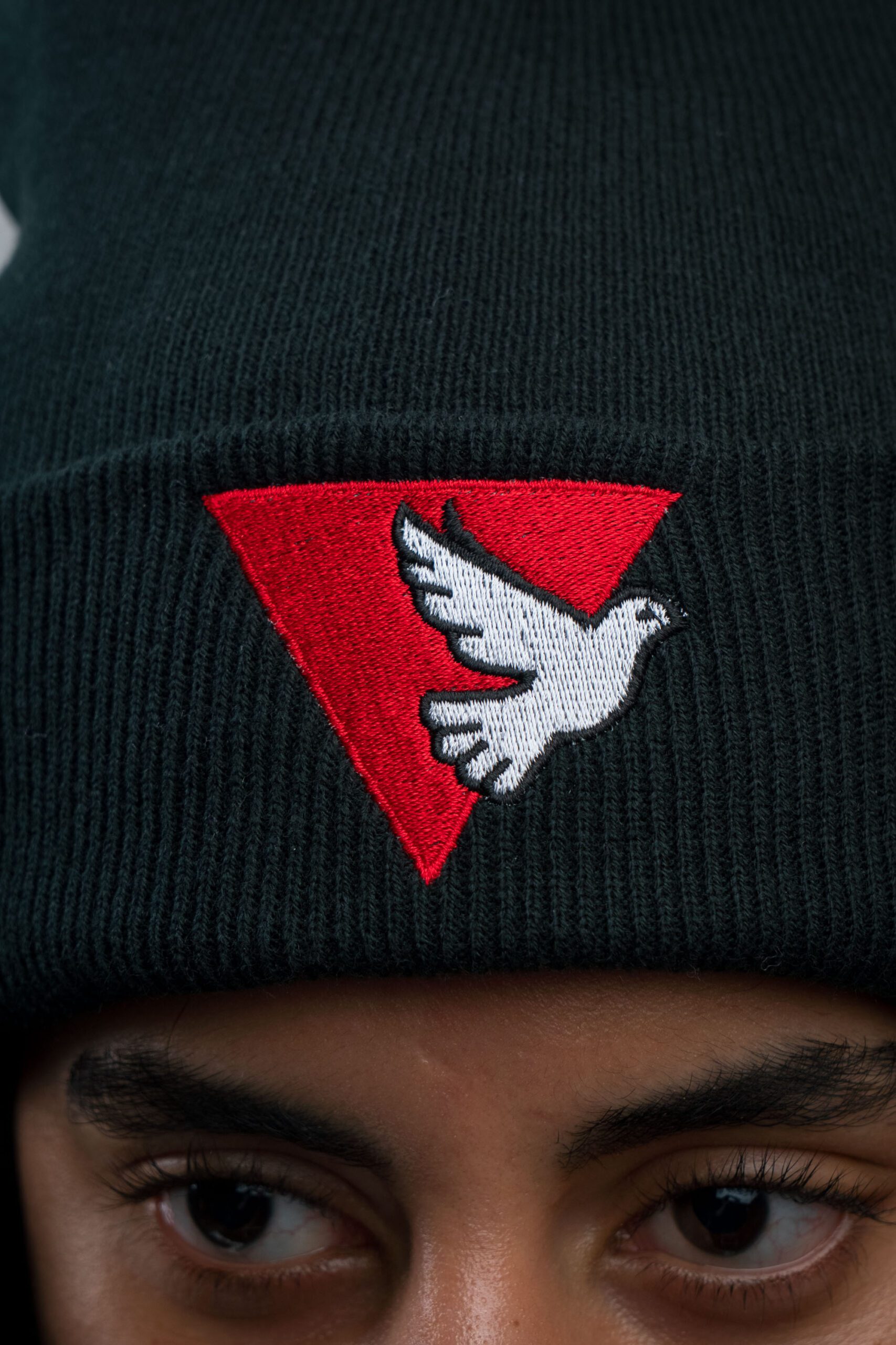 Dove Triangle Black Beanie