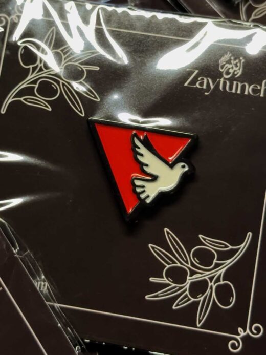 Triangle Dove Pin